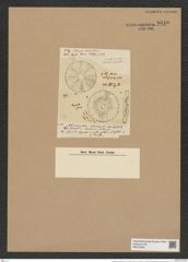 Actinoptychus splendens (Ehr.) Shadb. (de-Toni-Nr.: Genus 227, Species 5568) Zeichnungen Sammlung Grunow Nr. 9610 (NHMW-BOT-W0379428)